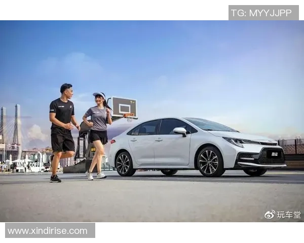 上海网球队在洲际杯积分榜上以54分稳居第一名展现强劲实力