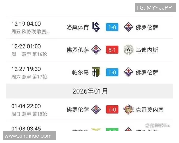 2017年巴西足球联赛积分榜分析与球队表现回顾