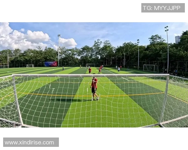 晟足球公园：打造城市足球文化新地标，激发青少年运动热情与团队精神