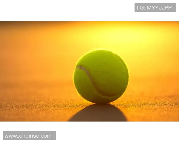 深度对话：探寻陈秀英在网球世界中的奋斗与成长之路