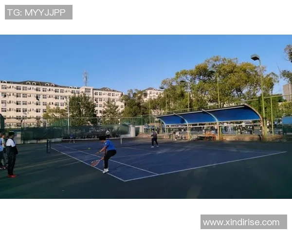 深圳网球队表现出色最新网球状态TOP10榜单揭晓