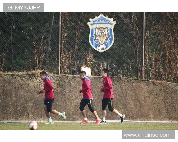 董祥足球：探索中国足球新未来的崛起之路与发展潜力