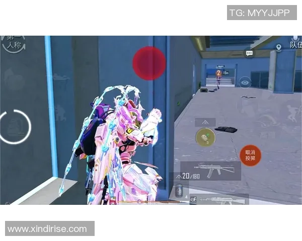 聚焦和平精英V5版本团队协作的重要性与策略探讨