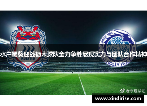 水户蜀葵迎战枥木球队全力争胜展现实力与团队合作精神